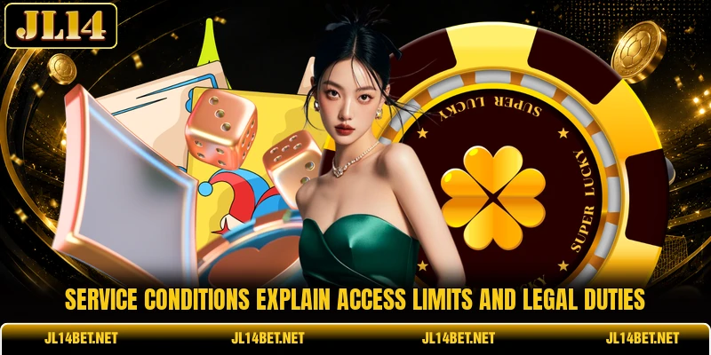 Service conditions explain access limits and legal duties